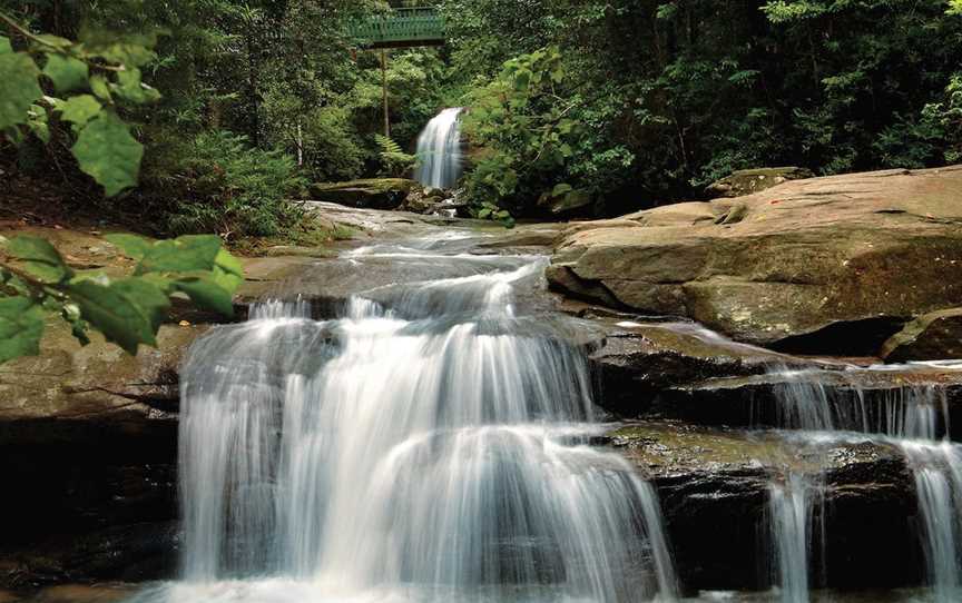 Buderim Falls, Buderim, QLD