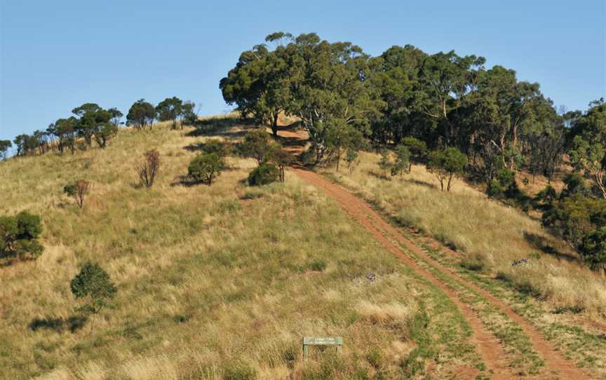 Black Hill Conservation Park, Adelaide, SA