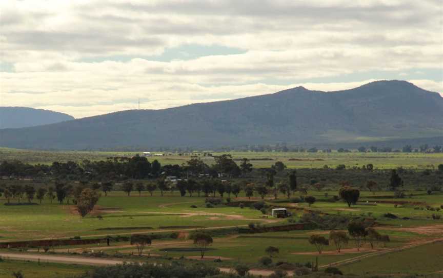 Camel Hump Lookout Walk, Hawker, SA