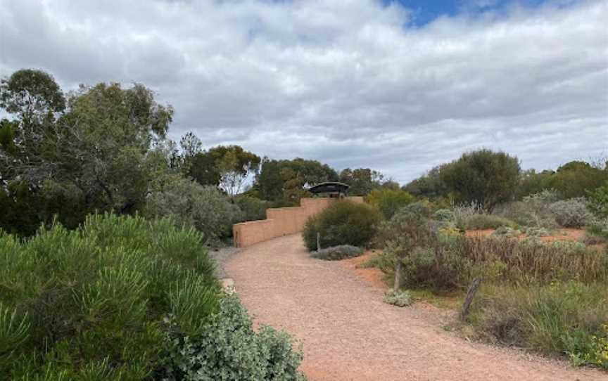 Australian Arid Lands Botanic Garden, Port Augusta, SA