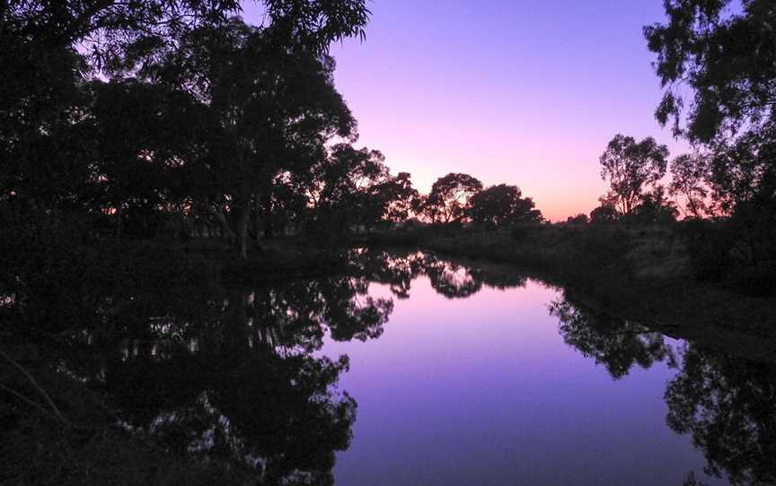 Wetlands of Wyalong, Wyalong, NSW