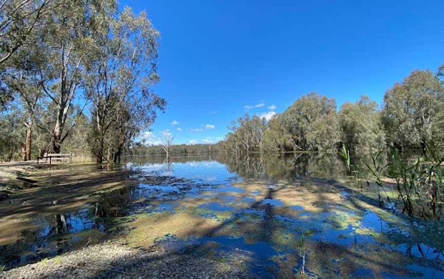 Wonga Wetlands, Albury, NSW