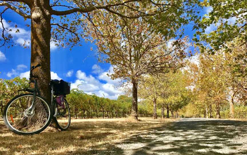 Grand Tour Cycle Route, Chiltern, VIC