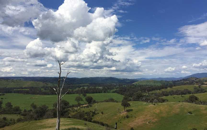 Acheron Cutting Lookout, Acheron, VIC