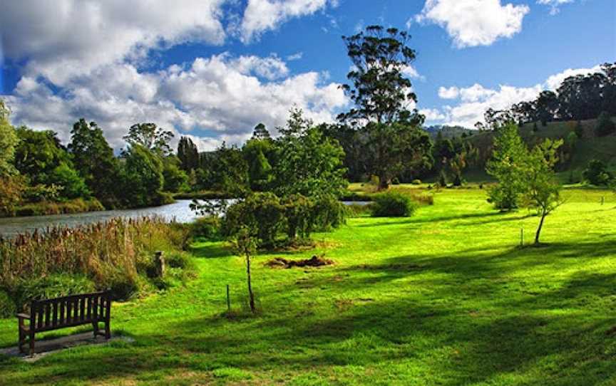 The Tasmanian Arboretum, Devonport, TAS