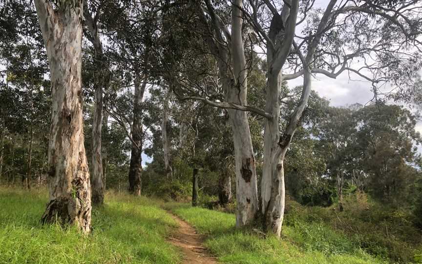 Great West Walk - Blacktown section, Quakers Hill, NSW