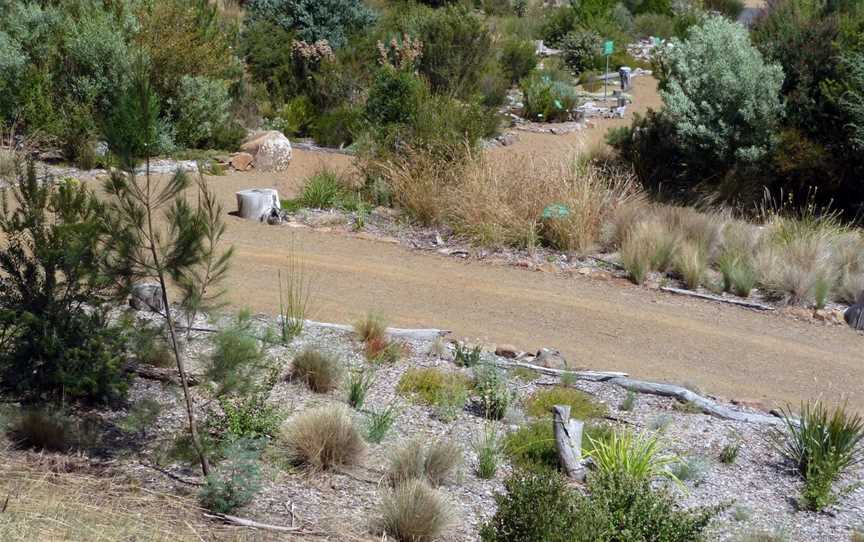 Tasmanian  Bushland Garden, Buckland, TAS