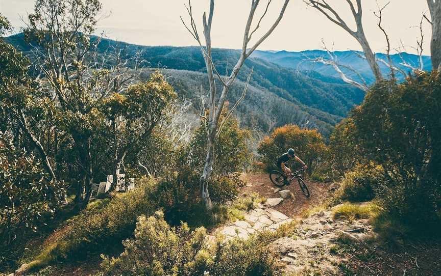 Australian Alpine Epic Mountain Bike Trail, Mount Buller, VIC