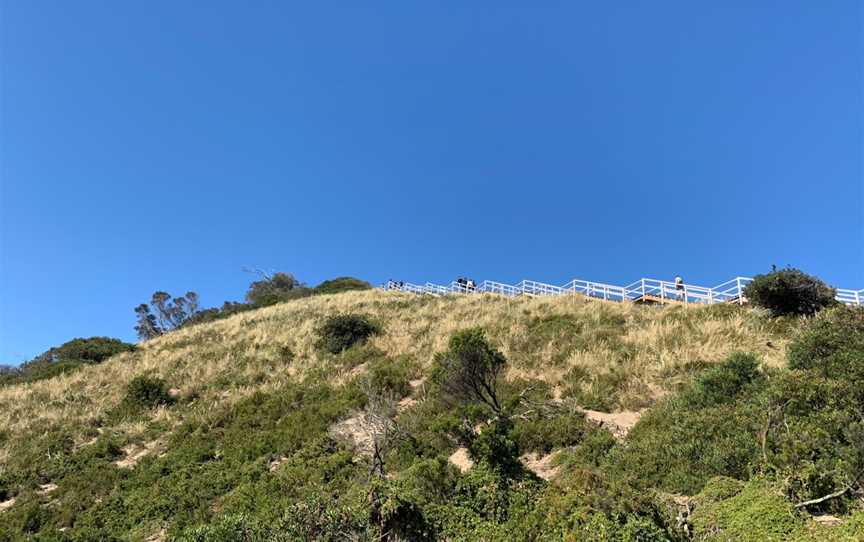 Bruny Island Neck, Bruny Island, TAS