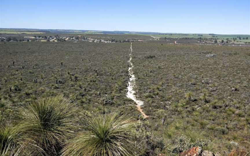 Badgingarra National Park, Badgingarra, WA