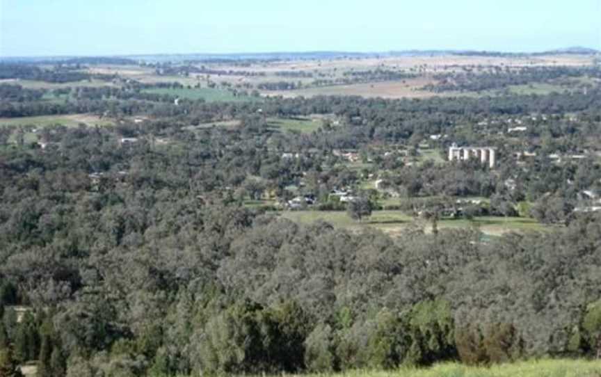 Bald Hill Reserve, Geurie, NSW