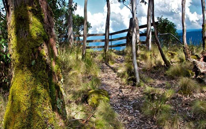 Thunderbolts lookout, Barrington Tops, NSW
