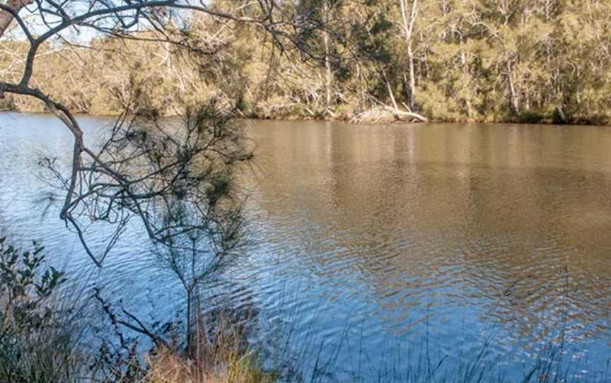 Wandandian Creek picnic area, Basin View, NSW