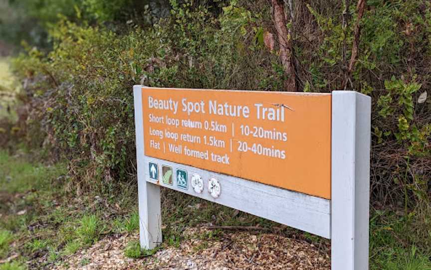 Beauty Spot Nature Trail, Marysville, VIC