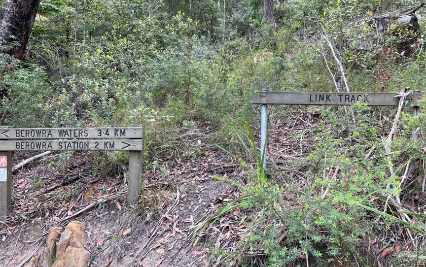 Great North walk - Berowra Valley National Park, Pennant Hills, NSW