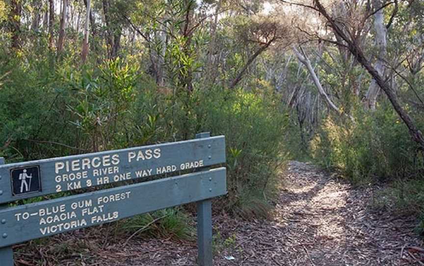 Pierces Pass to Blue Gum Forest Walking Track, Mount Tomah, NSW