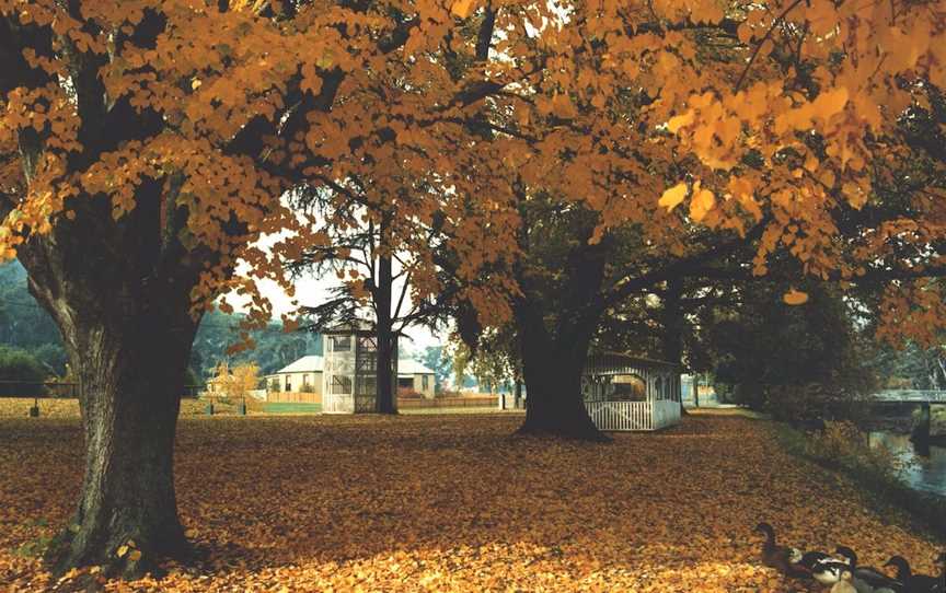 Bells Parade Reserve, Latrobe, TAS