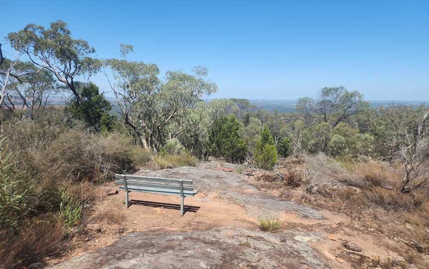 Mount Brogden Walking Track, Binya, NSW
