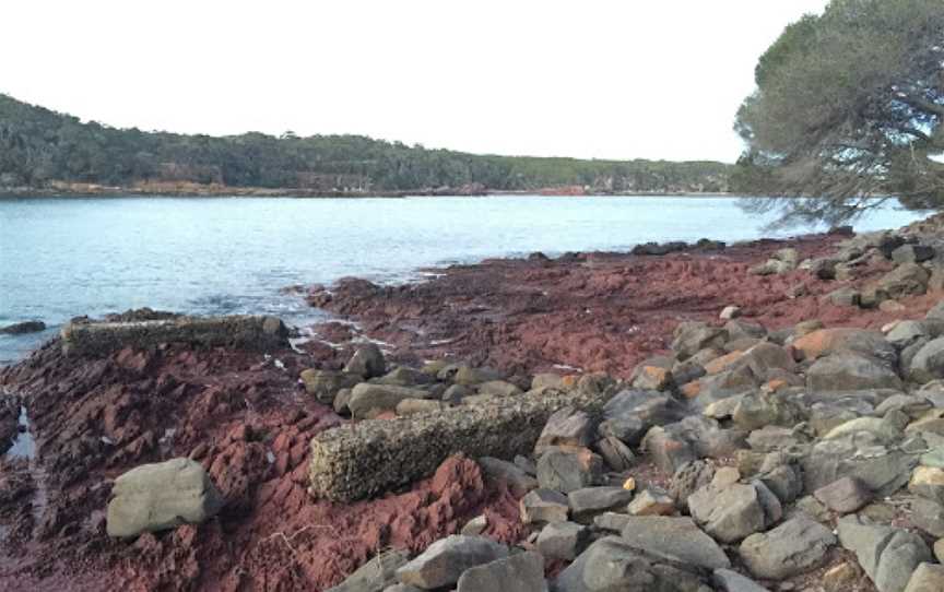 Bittangabee Bay, Green Cape, NSW