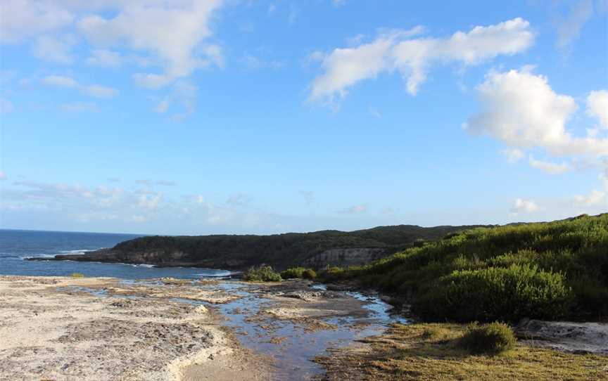 Booderee National Park: Telegraph Creek Nature Trail, Jervis Bay, NSW