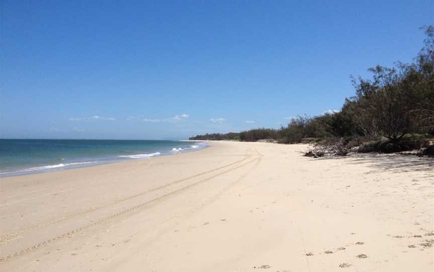 Bribie Island National Park and Recreation Area, Bribie Island, QLD