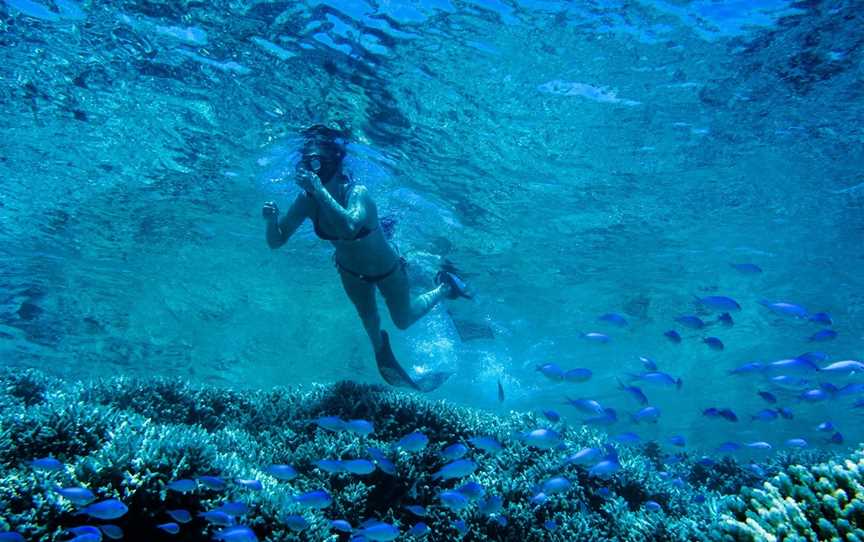 Rowley Shoals, Broome, WA