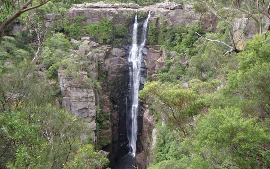 Carrington Falls, Budderoo National Park, Jamberoo, NSW