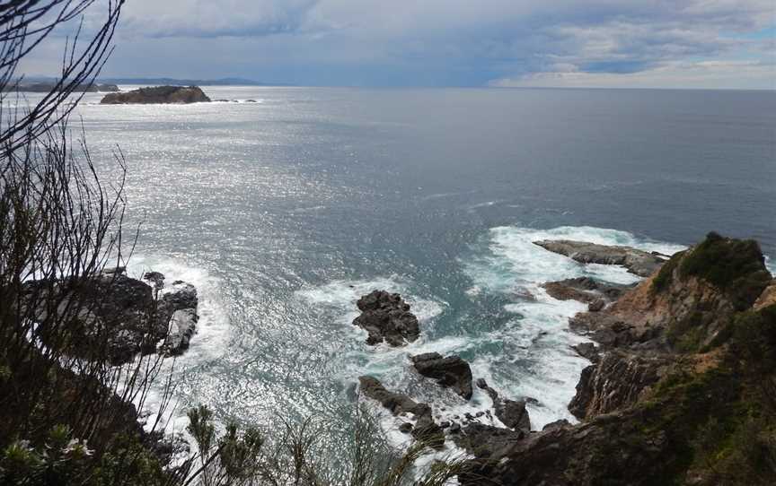 Burrewarra Point Banksia Walk, Guerilla Bay, NSW