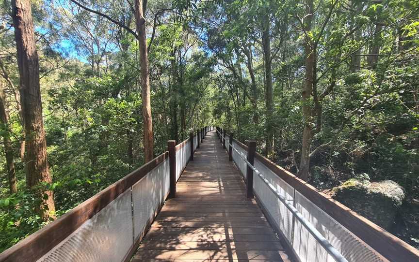 Yuelarbah Walking Track, Whitebridge, NSW