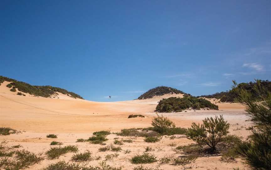 Byfield National Park, Conservation Park and State Forest, Byfield, QLD