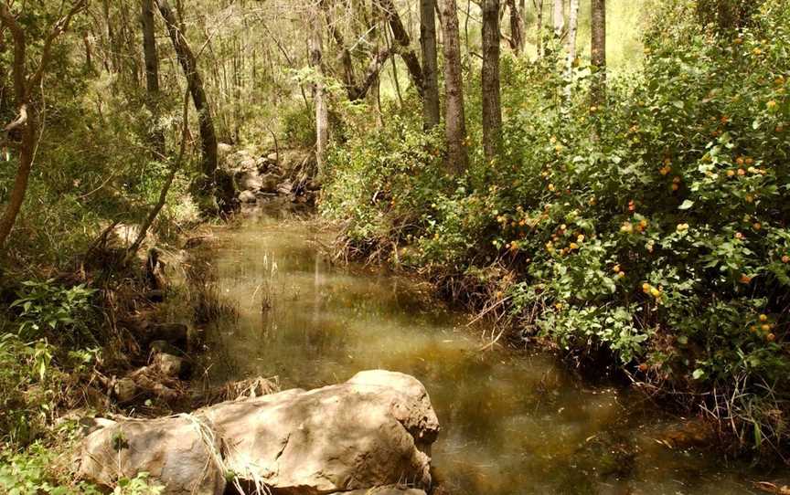 Flinders-Goolman Conservation Estate, Purga, QLD