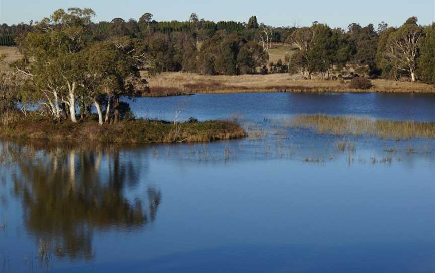 Cecil Hoskins Nature Reserve, Burradoo, NSW
