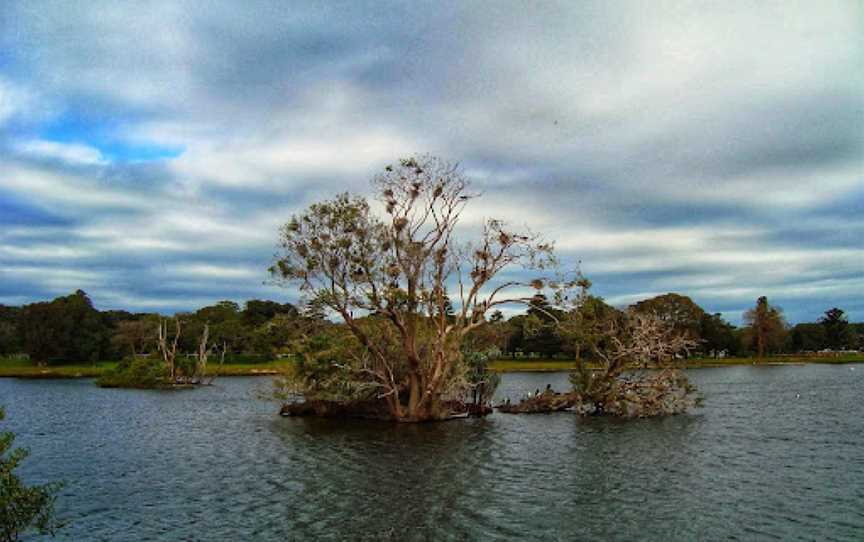Duck Pond, Centennial Park, NSW