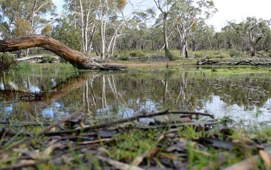 Black Range State Park, Cherrypool, VIC