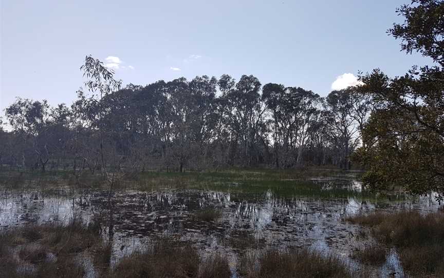 Penola Conservation Park, Monbulla, SA