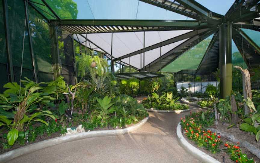 Cairns Botanic Gardens, Edge Hill, QLD