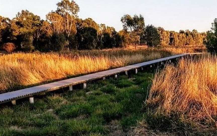 Junee Urban Wetlands, Junee, NSW
