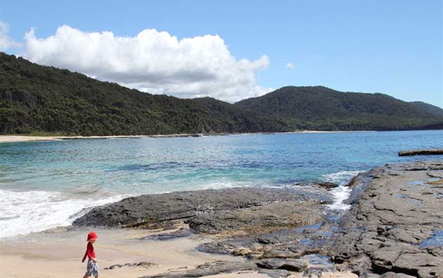 Depot Beach picnic area, Depot Beach, NSW