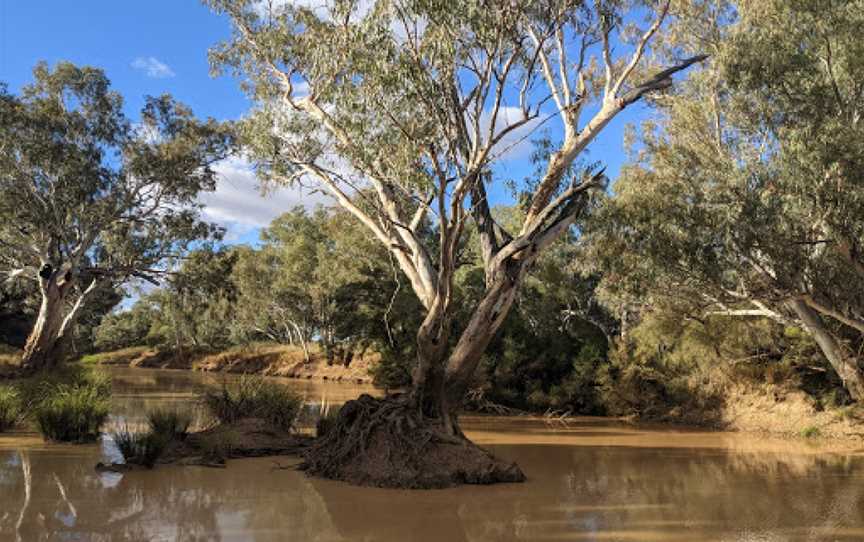 Bulloo River Walk, Quilpie, QLD