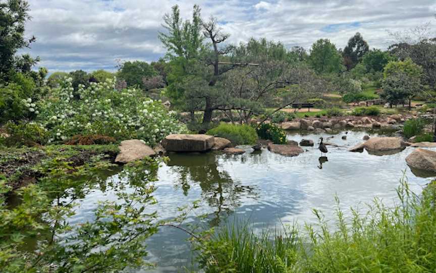 Dubbo Regional Botanic Garden, Dubbo, NSW