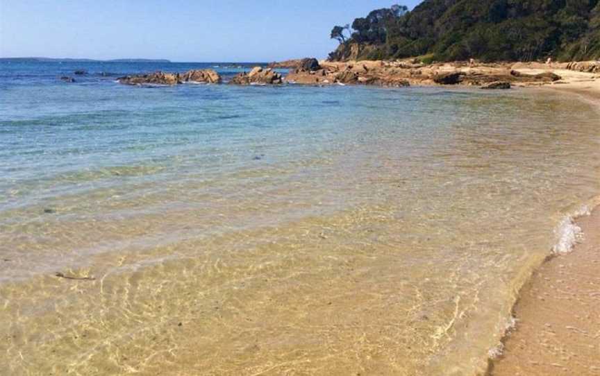 Shelly Beach Picnic Area - Moruya Heads, Moruya Heads, NSW