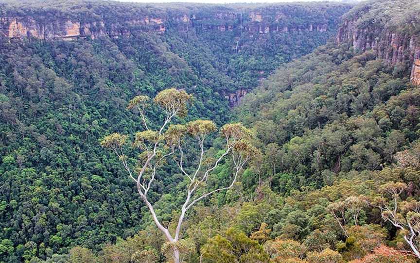 Yarrunga lookout, Fitzroy Falls, NSW