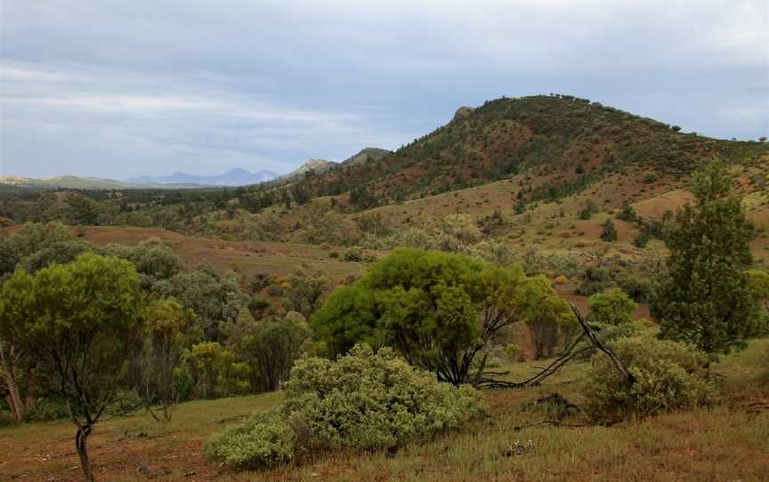 Brachina Gorge Geological Trail, Hawker, SA