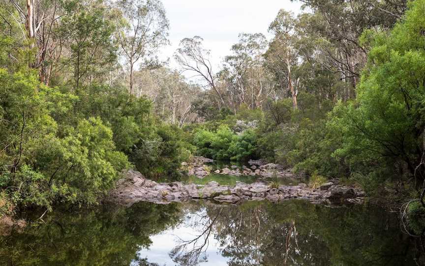 Briagolong State Forest, Briagolong, VIC