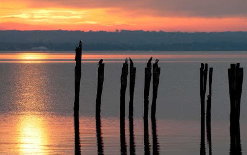 French Island National Park, French Island, VIC