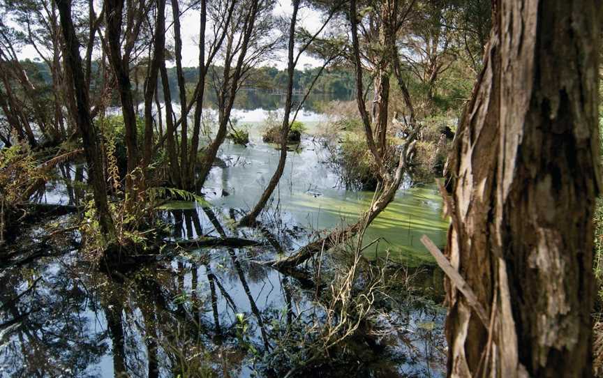 French Island National Park, French Island, VIC