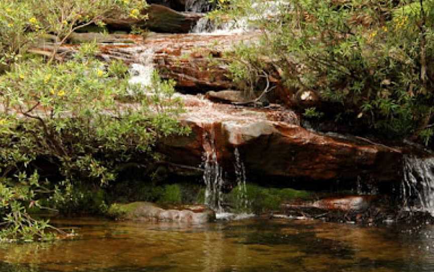Popran National Park, Glenworth Valley, NSW