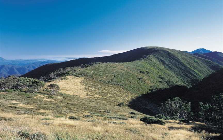 Alpine National Park, Hotham Heights, VIC