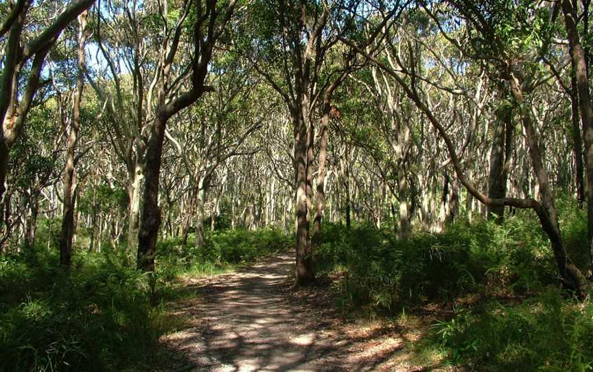 Glenrock State Conservation Area, Highfields, NSW