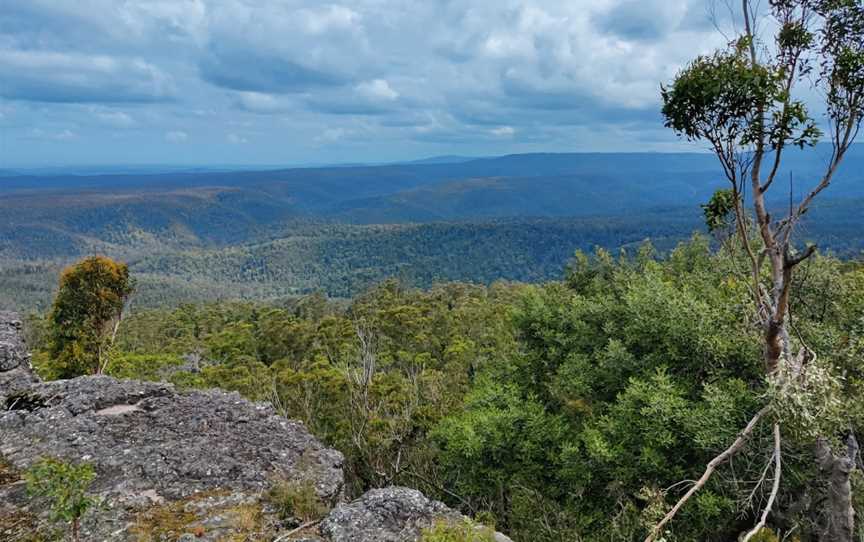 Jerrawangala National Park, Jerrawangala, NSW